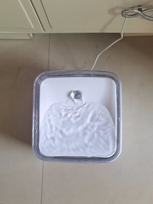 宠物饮水机