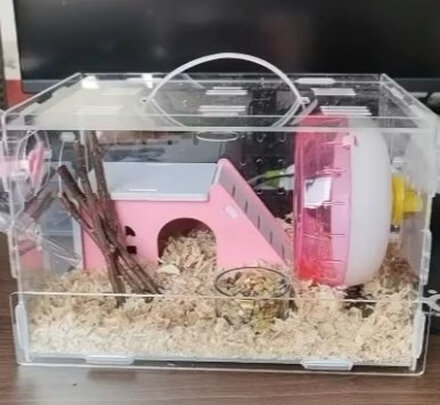 仓鼠水壶