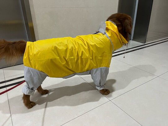 狗狗雨衣