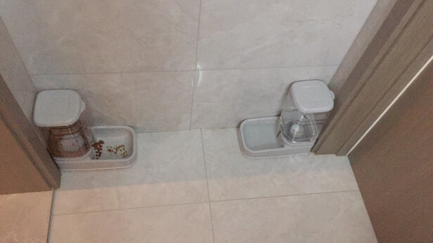 宠物自动喂食器
