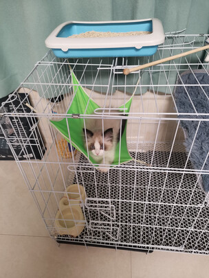  猫笼