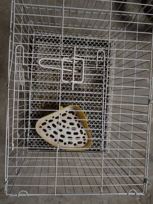 兔笼子