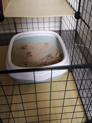 膨润土猫砂