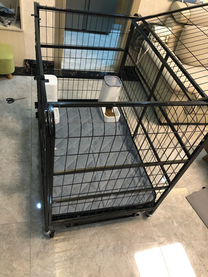 宠物自动喂食器