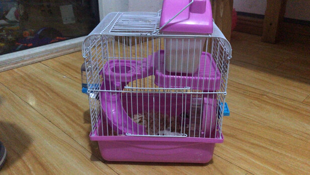 仓鼠水壶