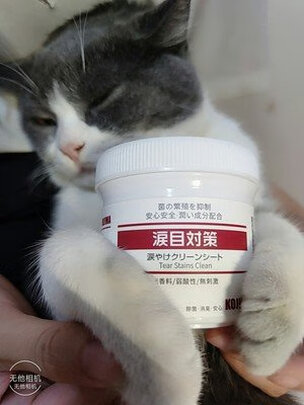 宠物湿巾
