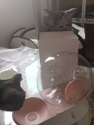 宠物饮水机