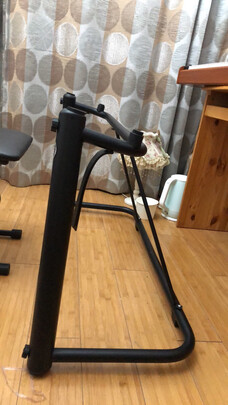 卡迪乐器专营店|卡迪乐器专营店如何,值得入手的原因分享！