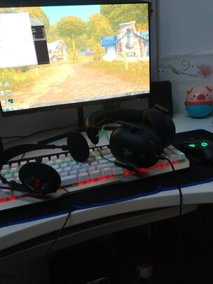 求助揭秘雷蛇（Razer）旋风黑鲨V2怎么样?一个月后质量真相
