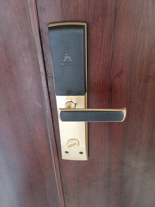 王力指纹锁排行是第几名?用后一周讲体验感受