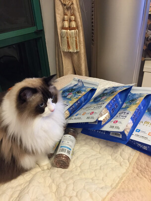猫冻干