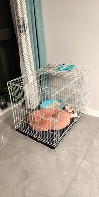  猫笼