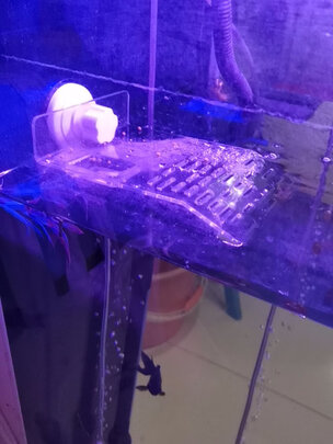 乌龟缸