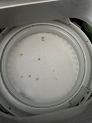 图片[1] - 花王KAO洗衣机清洗剂180g，去异味，除垢清洁，好用吗？ - 淘实惠