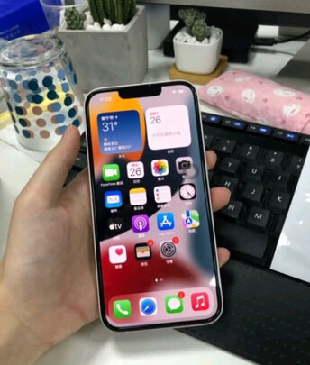 AppleiPhone 13选购攻略需注意细节