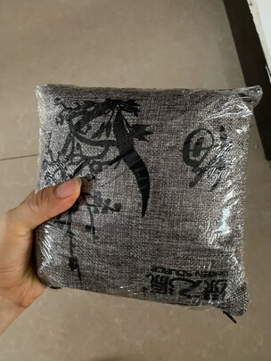 汽车竹炭包