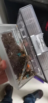 追觅W10一周使用彻底爱上了吗