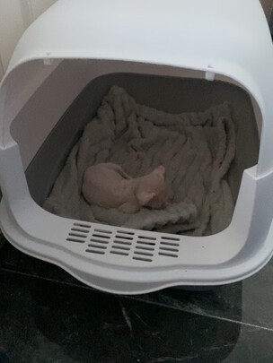 猫砂盆