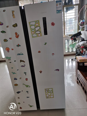 冰箱|西门子BCD-502W(KA50NE20TI)冰箱好吗？图文评测曝光