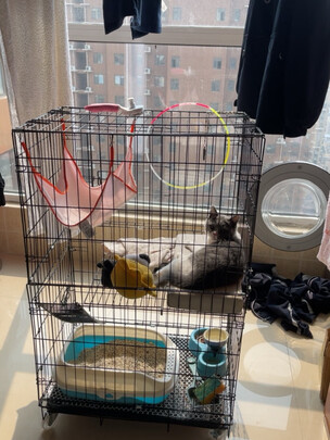  猫笼