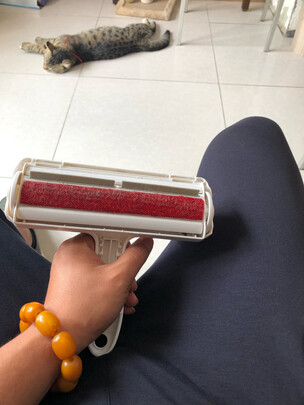 宠物吸毛器