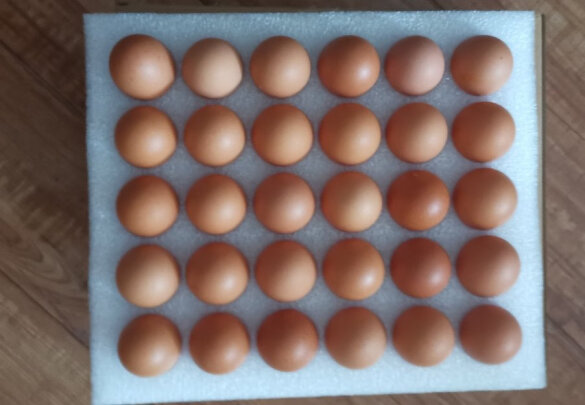 图片[4] - CP正大鲜鸡蛋30枚1.59kg早餐优质蛋白简装好不好？ - 淘实惠