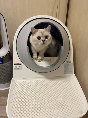 猫砂铲