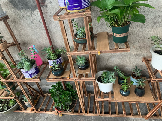 花架