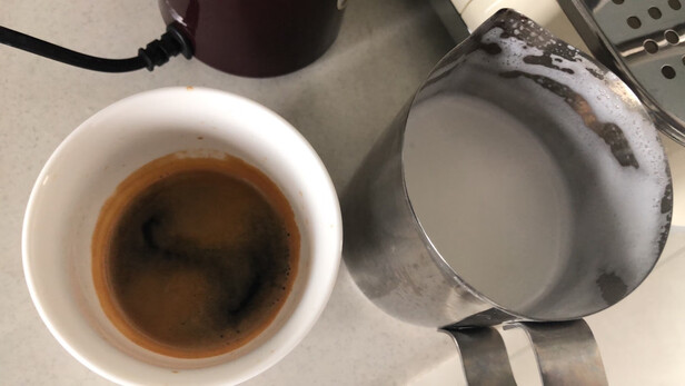 求助专家:SMEG斯麦格ECF01怎么样到底垃不垃圾?