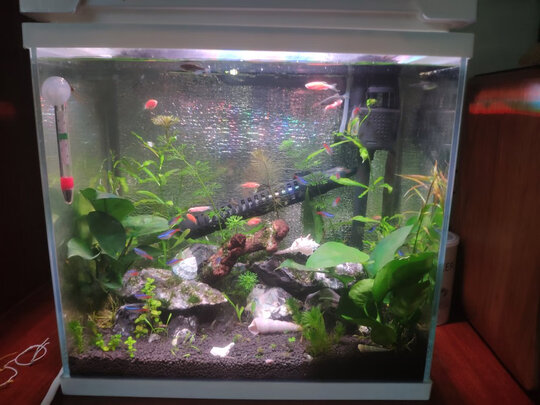 水草泥