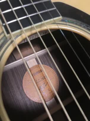 吉他|客觀評價雅馬哈雅馬哈LL16DT吉他怎么樣？上手三周說真相