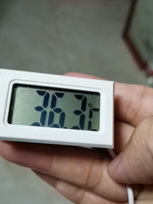 鱼缸温度计