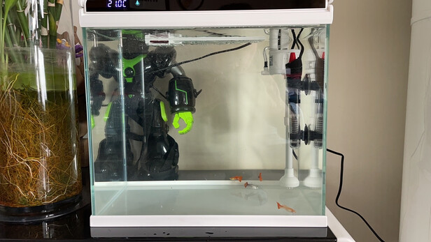 智能鱼缸