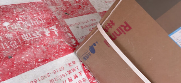 林内Rinnai 16升 零干扰恒温防冻 燃气热水器 京东小家智能生态 语音APP智控 水温按摩16QD06W (JSQ31-D06W)