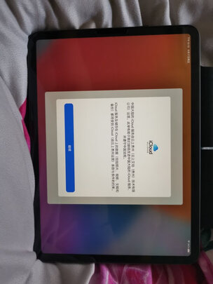 Apple11英寸|用户揭秘Apple11英寸 ipad Pro平板电脑好吗,入手解密评测真相