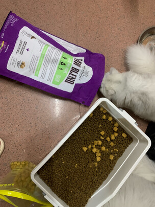猫冻干