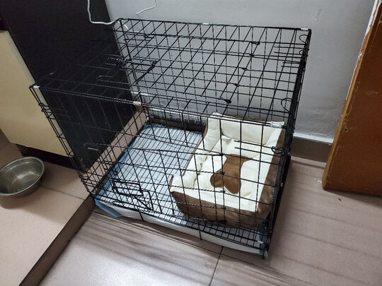 狗笼