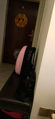 宠物包