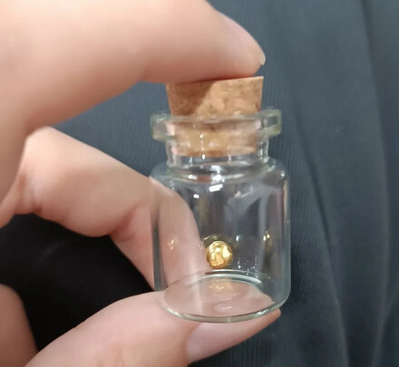 黄金豆豆