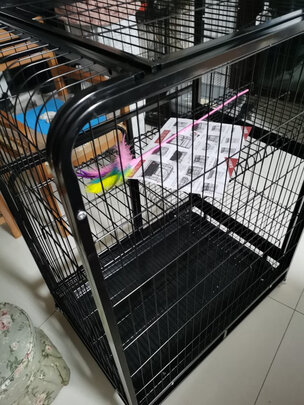  猫笼