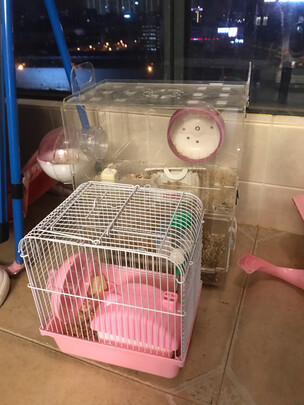 仓鼠水壶