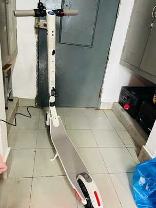 Ninebot九号滑板车E22茶白色定制版男士女士成人学生儿童迷你便携可折叠代驾双轮电动车锂电休闲平衡车