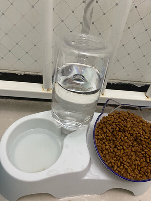 宠物饮水机