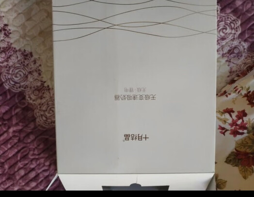 电动吸奶器