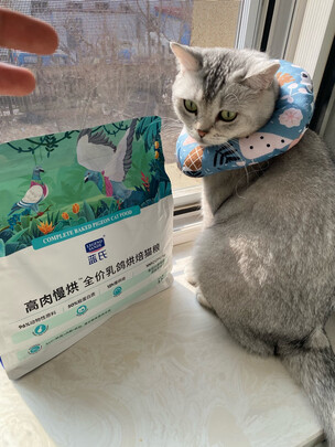 猫粮