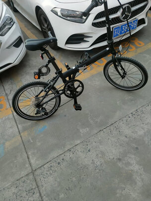 DAHON大行p8折叠自行车成人20英寸8速男女式折叠车旅行运动单车Archer P8 KBC083 白色