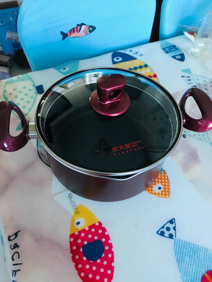 一:选购炊大皇tg22ms-1汤锅建议