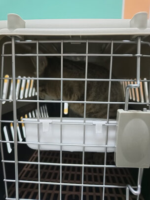 宠物航空箱