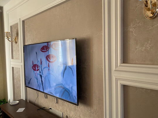 TCL65L8-j电视|【热搜头条】TCL65L8-J对比65V6哪款好用？优缺点区别是？