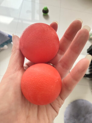 狗狗玩具